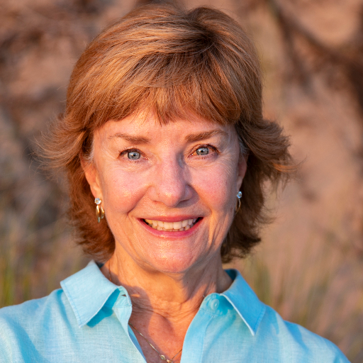Susan P Ryan