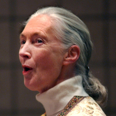Jane Goodall