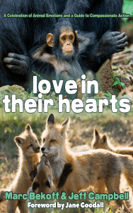 Love in Their Hearts